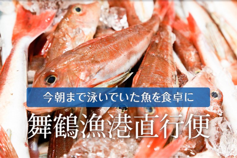 今朝まで泳いでいた魚を食卓に　舞鶴漁港直行便